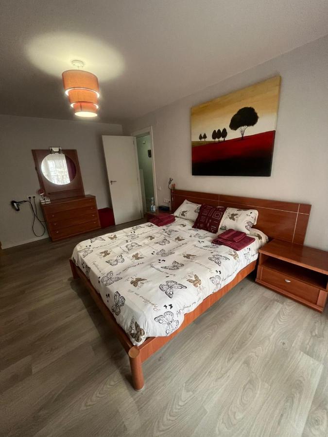 Apartamento Xativa公寓 外观 照片